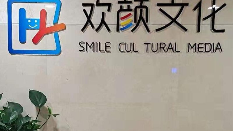 上海mg动画制作代理加盟：揭秘动画制作背后的产业生态**